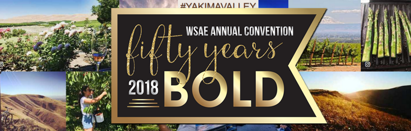 2018 WSAE Annual Convention